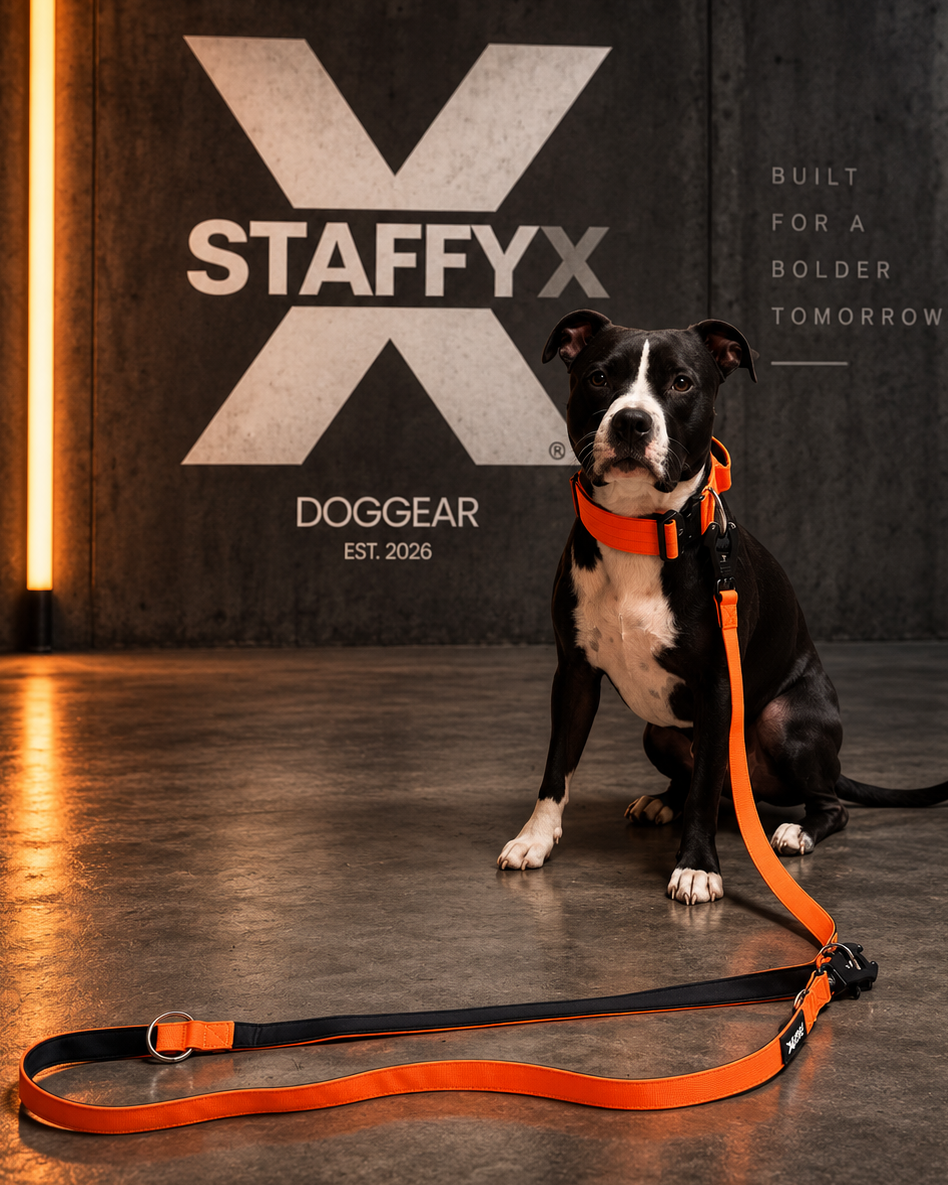 NeXus Leine Orange