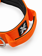 ApeX Halsband Orange