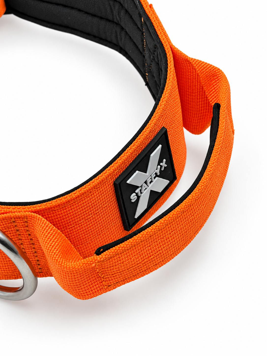 ApeX Halsband Orange