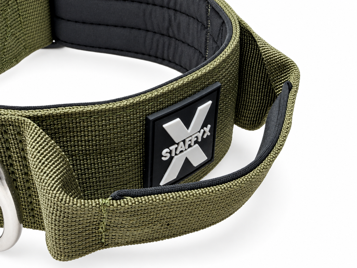 ApeX Halsband Olive