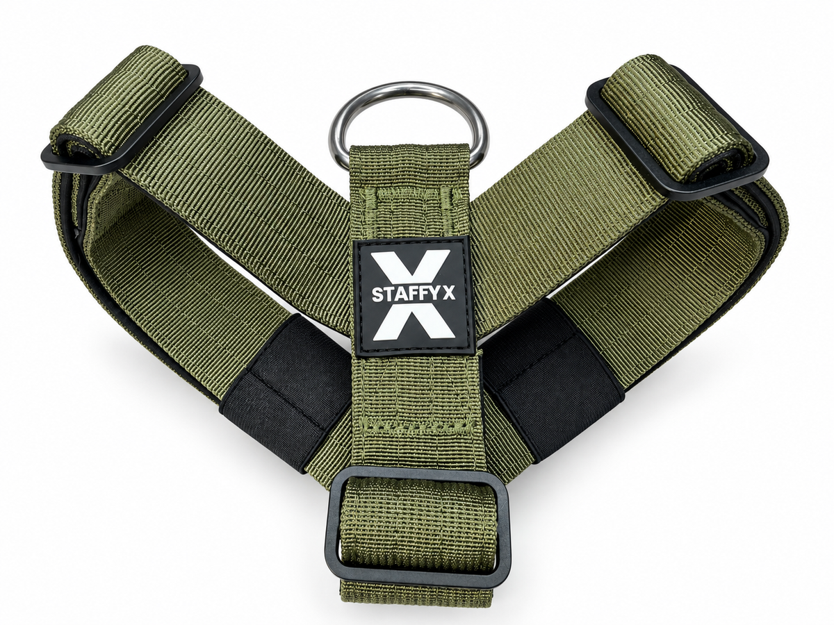 TactiX Geschirr Olive
