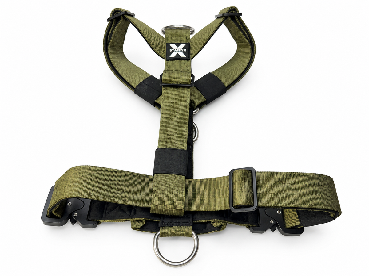 TactiX Geschirr Olive