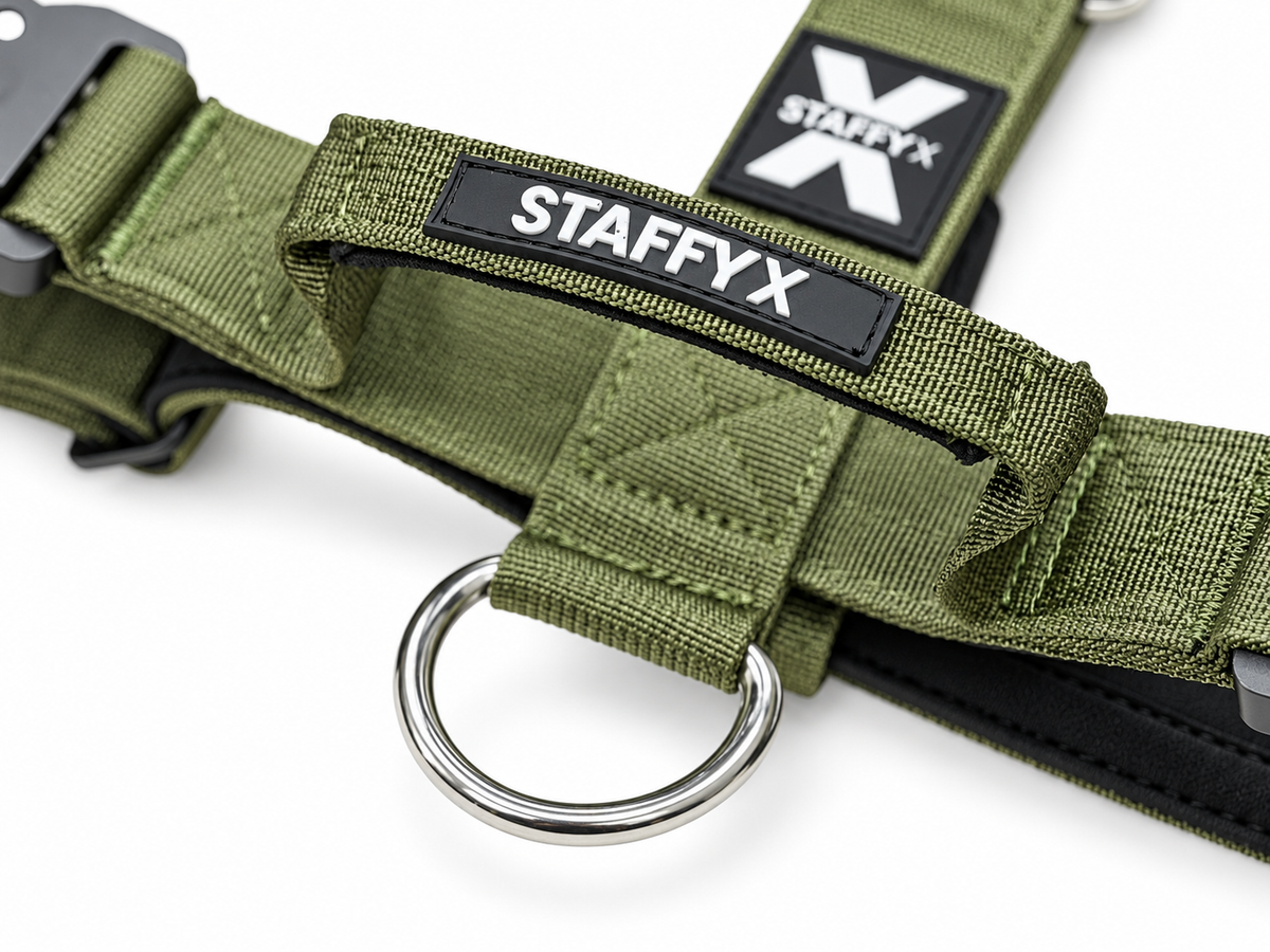 TactiX Geschirr Olive