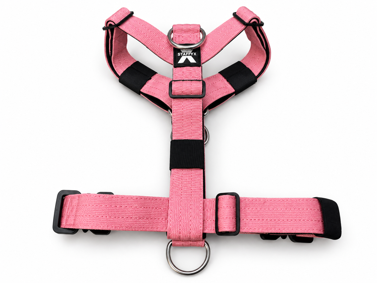TactiX Geschirr Rosé