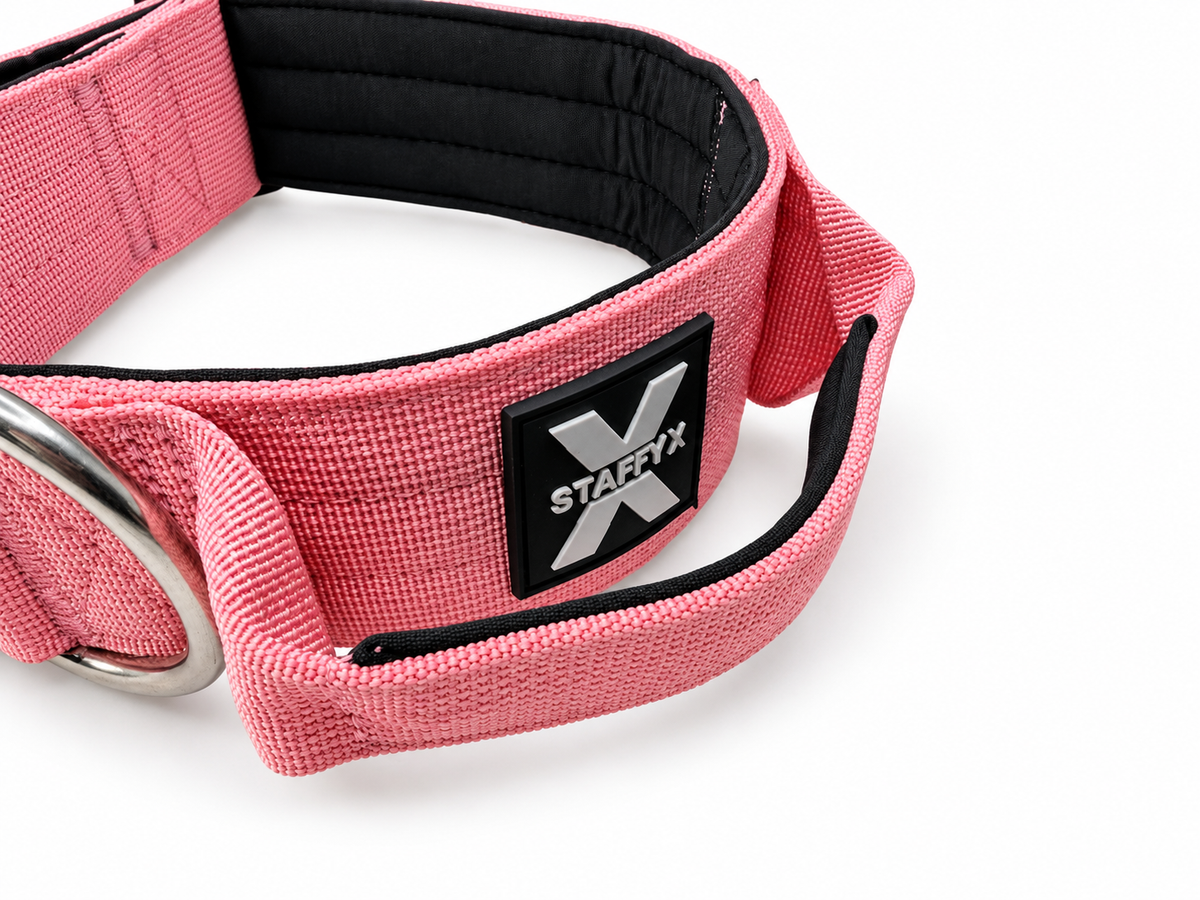 ApeX Halsband Rosé