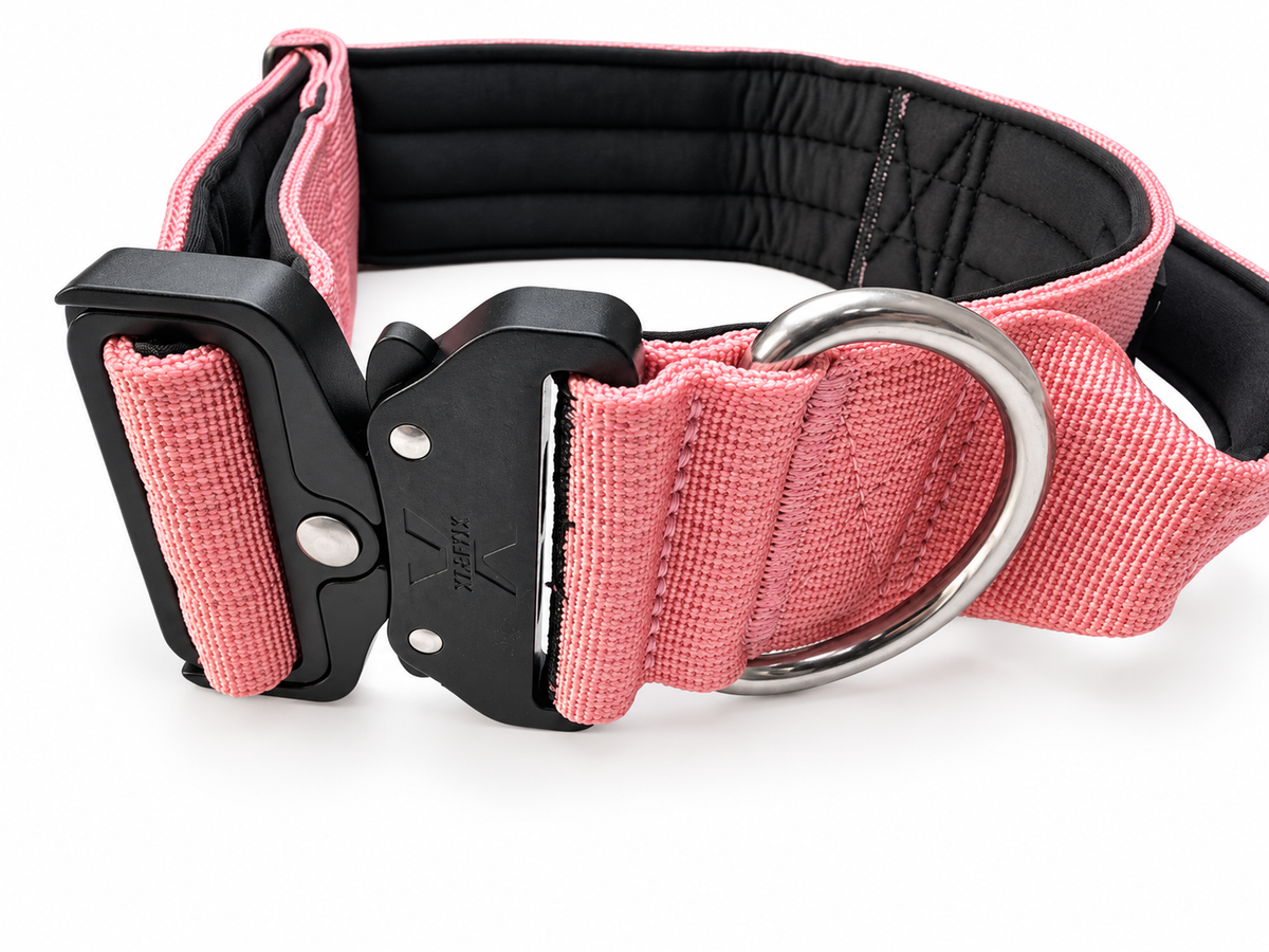 ApeX Halsband Rosé