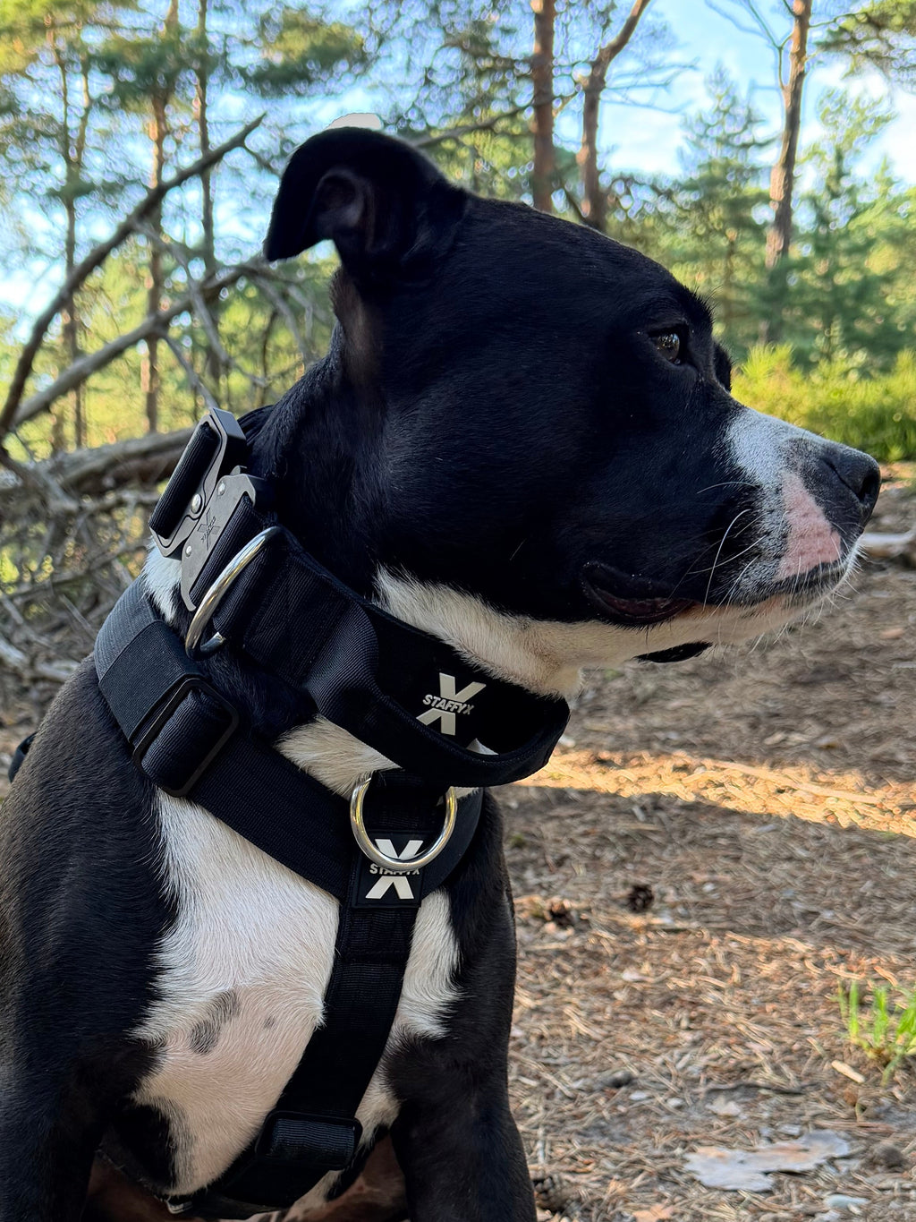 ApeX Halsband Schwarz