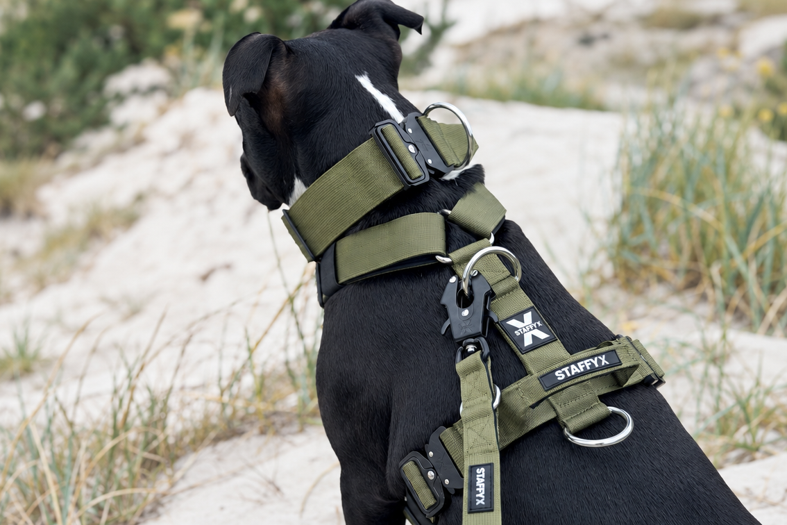 ApeX Halsband Olive