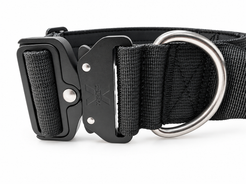 ApeX Halsband Schwarz