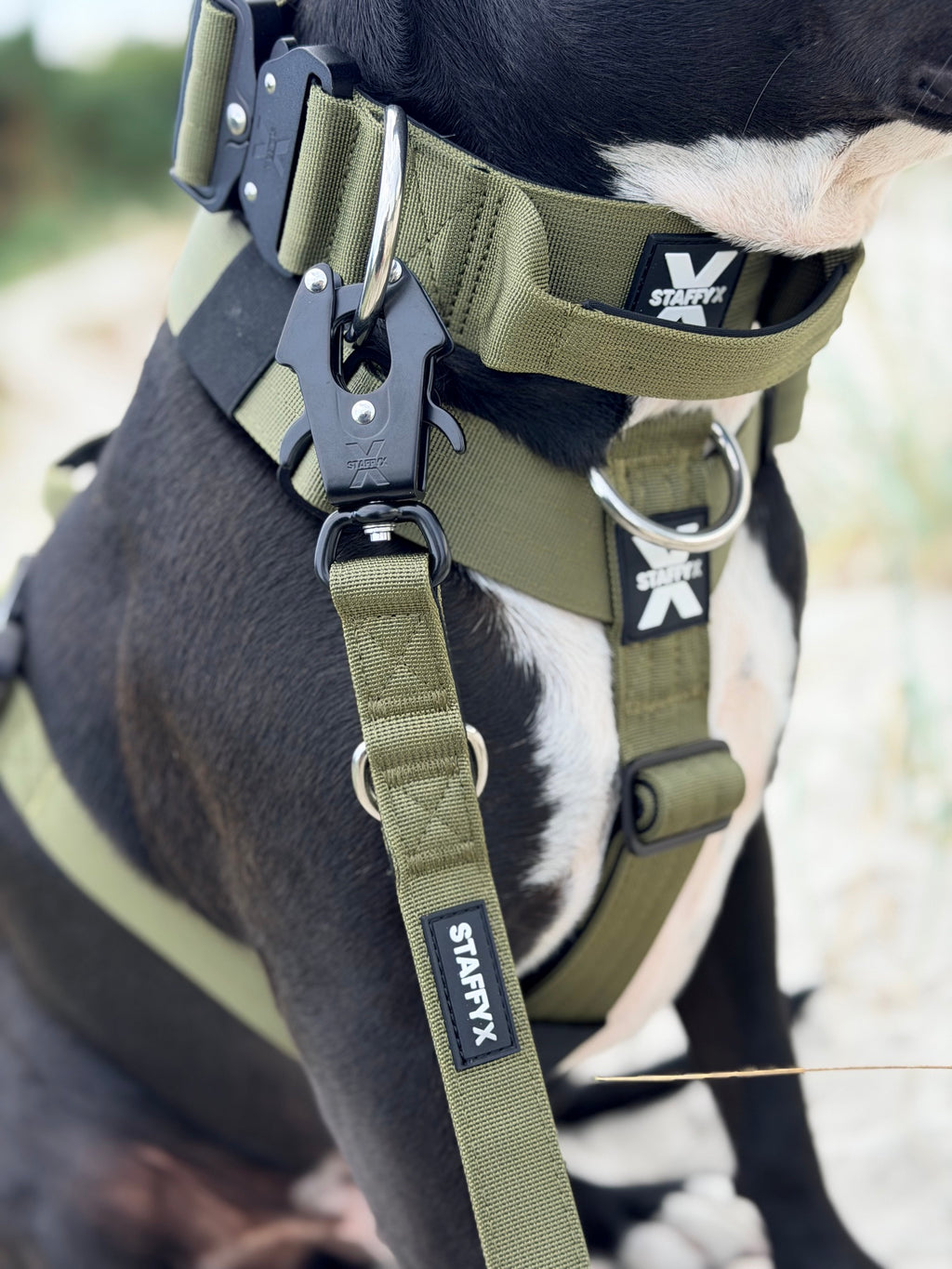 TactiX Geschirr Olive
