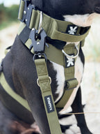 TactiX Geschirr Olive