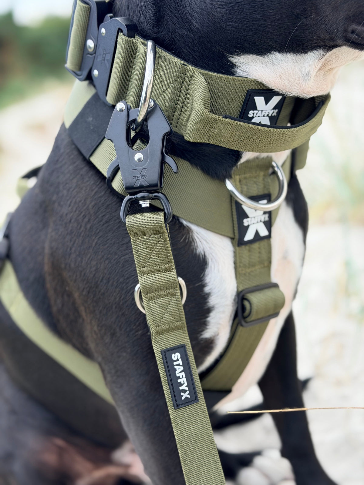 TactiX Geschirr Olive