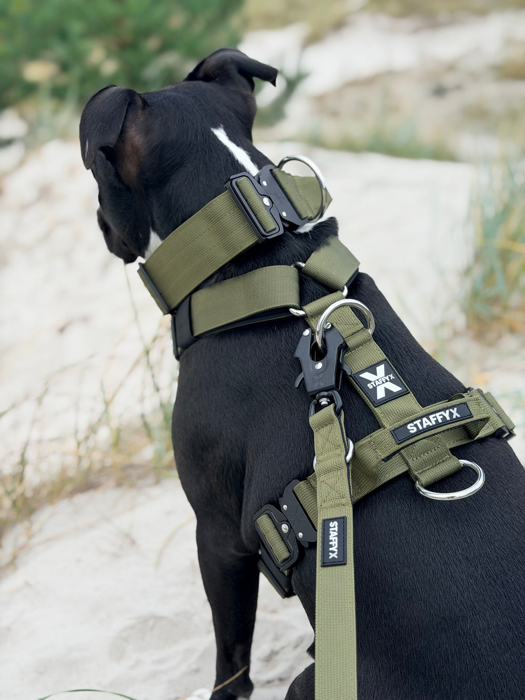 TactiX Geschirr Olive