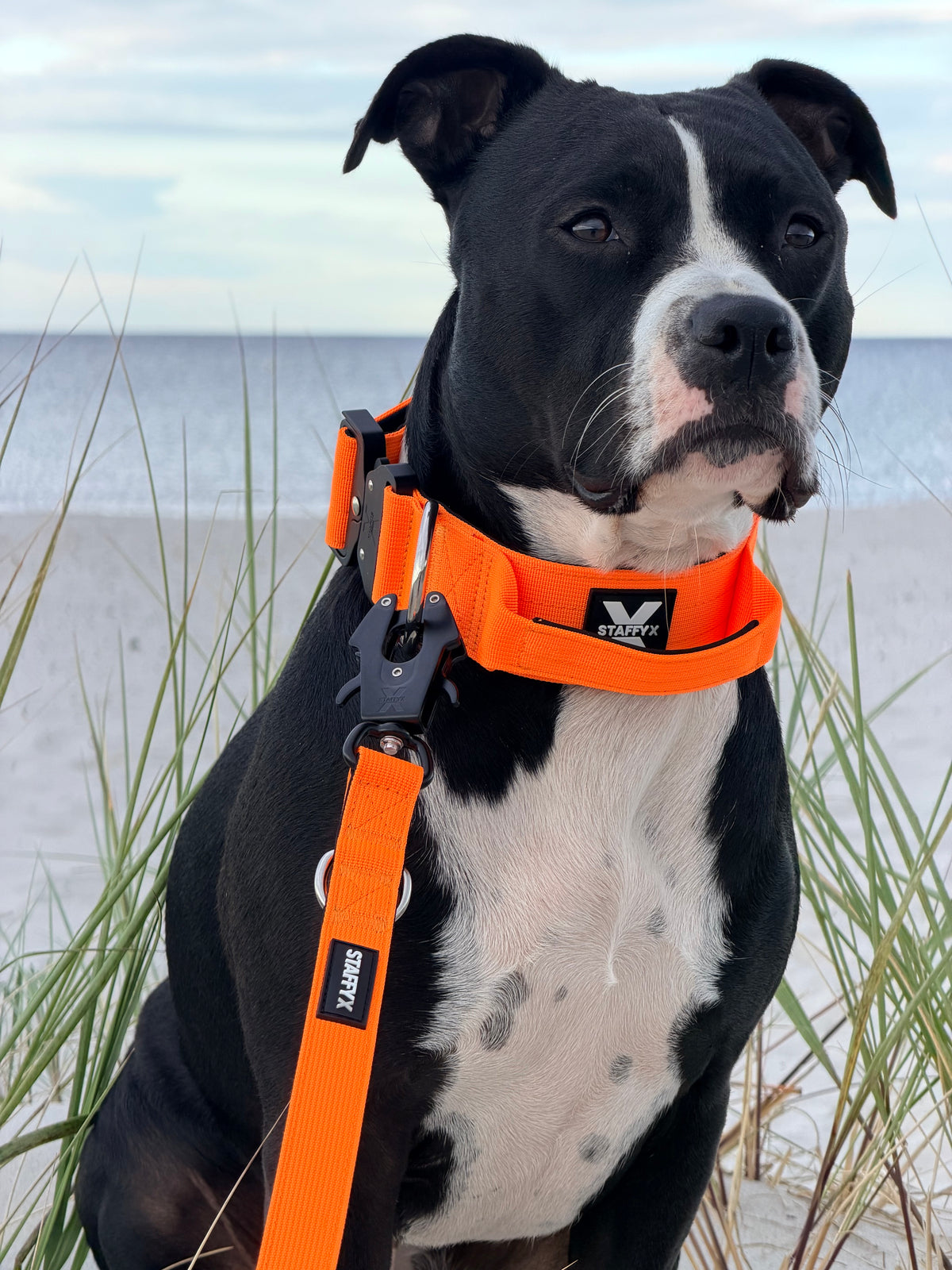 ApeX Halsband Orange