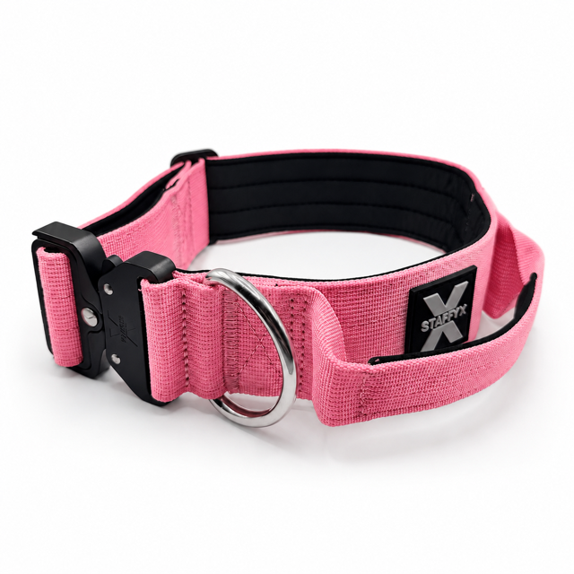 ApeX Halsband Rosé
