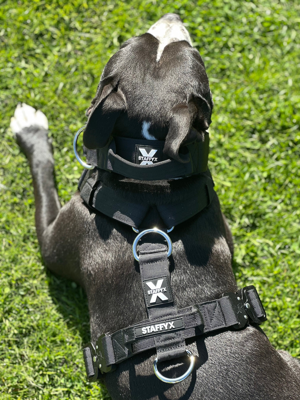 TactiX Geschirr Schwarz