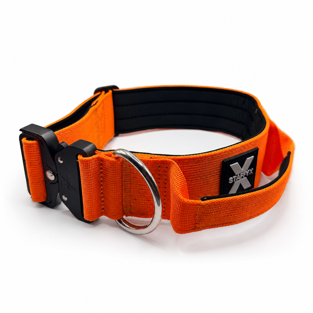 ApeX Halsband Orange